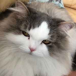 Meet your Posher, Vicki